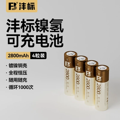 Cross-Border New Product Fengbiao Aa2800 Mah Rechargeable Battery No. 5 No. 7 Large Capacity 1.2V Aaa Charger (Hibrid akkumulyator batareyaları) - no-5-section-4-2800-ma