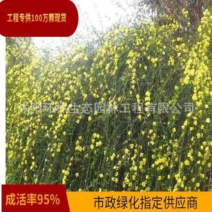 ӭ�������S��ܰ���o�¹����ͺ��͟�ͥԺ�ӵ��G����Ԯ���ٻ���ֱ�N