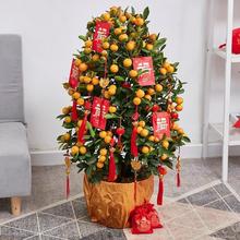 ��ۘ�������ێ����������Ә�͏d��ؔ�ļ��������������bGֲ