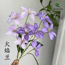 仿真花火焰兰3d背景墙插花装饰路引紫色婚庆紫荆花火焰兰仿真假花