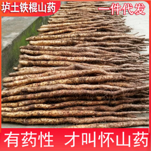 ��1���b�����ډ����F��ɽș���Ͻ����خa���r�F�U��ɽș�ǻ�ɽș