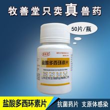 �Bș�����uș�}������h��Ƭ �ݺ������u���Z���c�U�����xș ���l