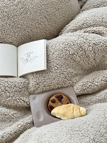 Encrypted and thickened ins atmosphere alpaca four-piece set autumn and winter thickened warm milk velvet simple solid color bedding