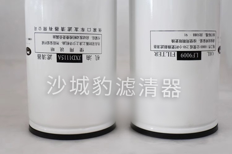 LF9009 11.jpg