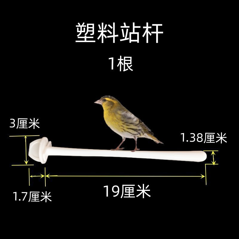 鳥用ソフトフードプレート、フードボウル、分離フードボックス、翡翠鳥、ハイビスカス鳥、カナリア、ゴールデングリーンアッシュスワロー、シスターズバード、オウム|undefined