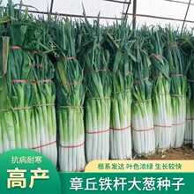 ����ɽ�|������[�N�Ӹ߮a�F�U�߲����ӷN���ļ��[�N���ش����[��