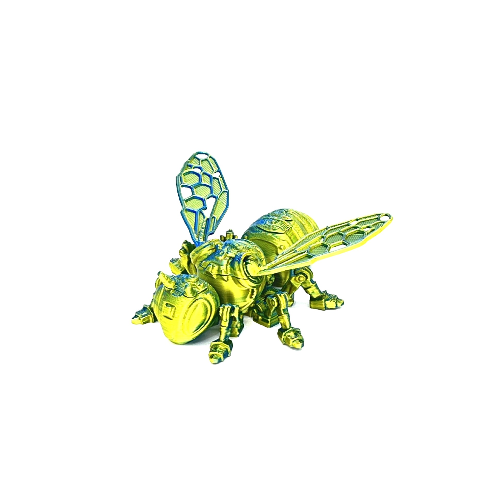 微信图片_202407010901351