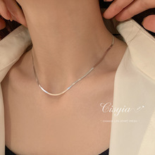 简约蛇骨链项链女时尚小众设计创意锁骨链气质优雅S925银毛衣链潮