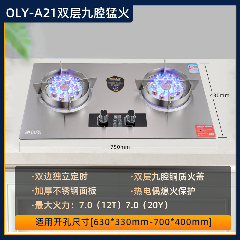 Gas stove household nine-chamber direct fire stainless steel fierce fire double stove gas stove natural gas stove liquefied gas gas stove