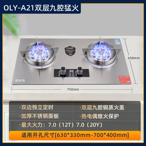 Gas stove household nine-chamber direct fire stainless steel fierce fire double stove gas stove natural gas stove liquefied gas gas stove