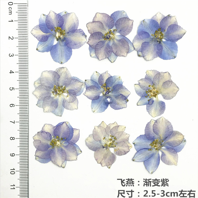 QQ图片20181129111828