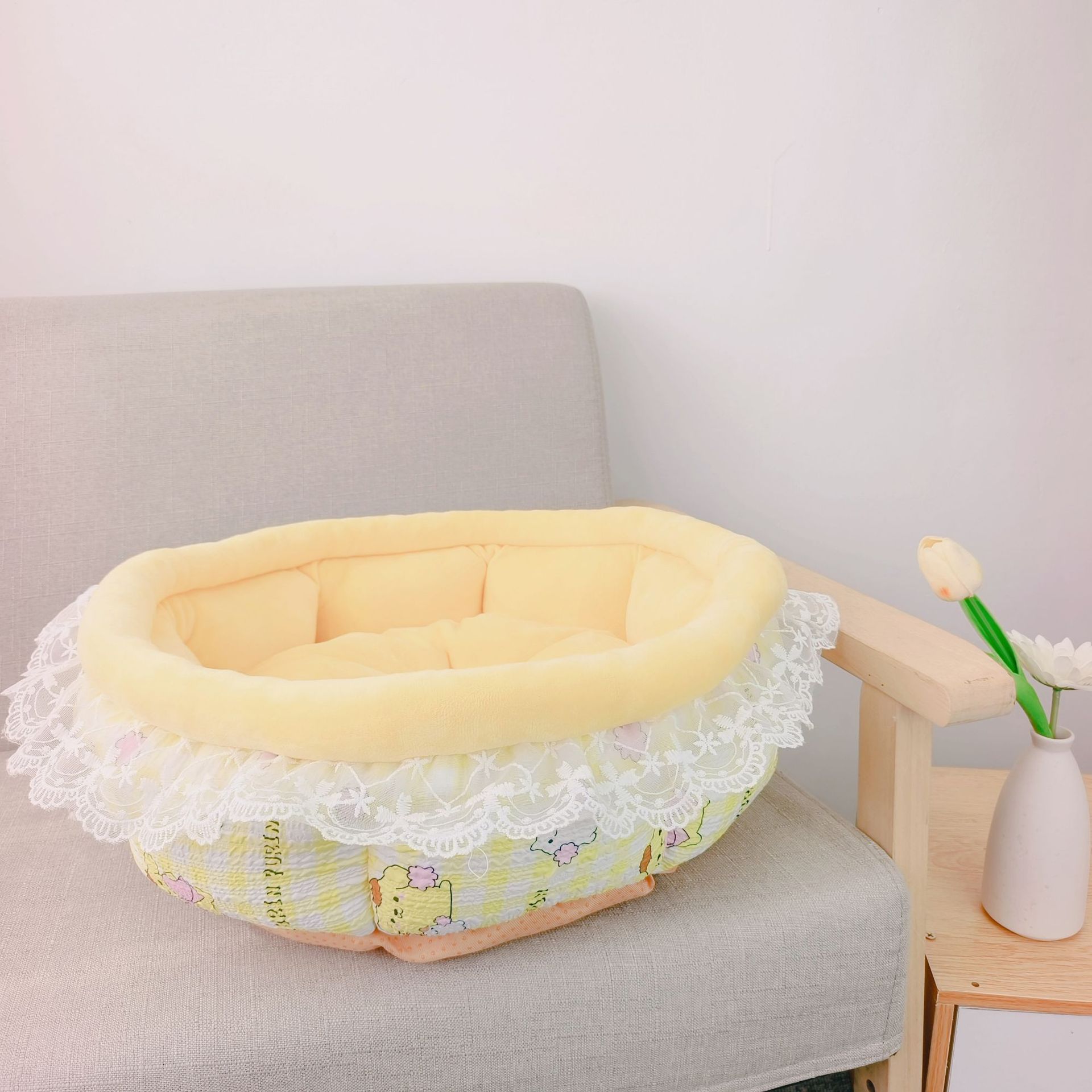 노란 강아지
