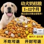 金毛幼犬奶糕狗粮