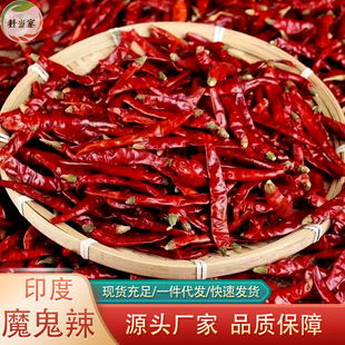 印度魔鬼辣干辣椒高辣猛辣变态辣提辣增辣巨辣型海椒印度辣椒500g-阿里巴巴
