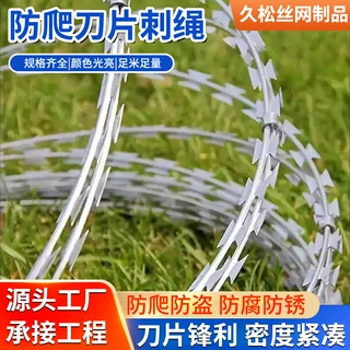 学校防攀爬带刺铁丝网安装高铁热镀锌刺绳围墙防护滚笼刀片刺丝