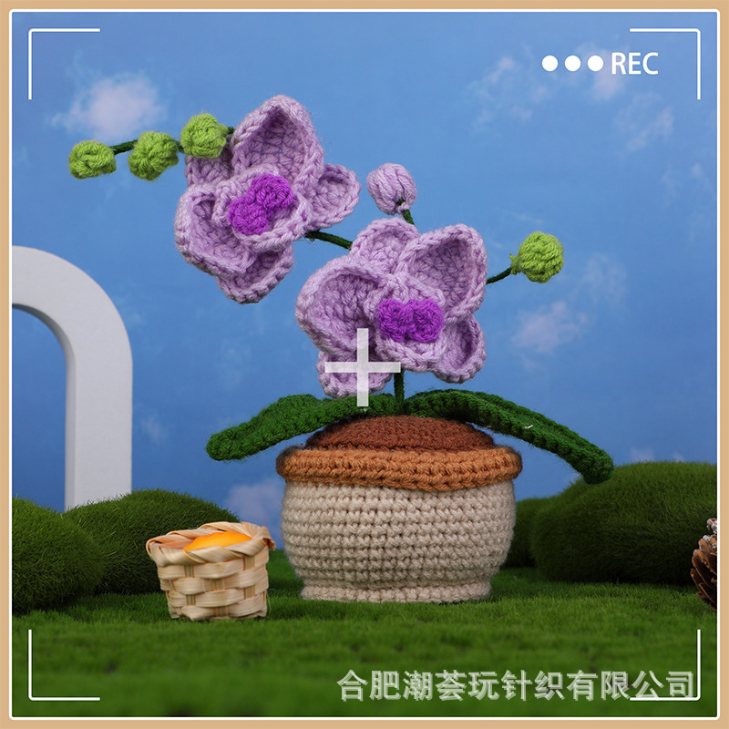 钩针材料包迷你蝴蝶兰盆栽摆件毛线团手工编织diy跨境新款针织