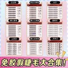 z؈ɽ軨zճٽëzˮ2025¿ϵȻ۽ë