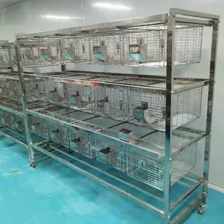 兔笼架子加粗加密热镀锌丝免清粪阶梯式自动兔用草架放草的架子