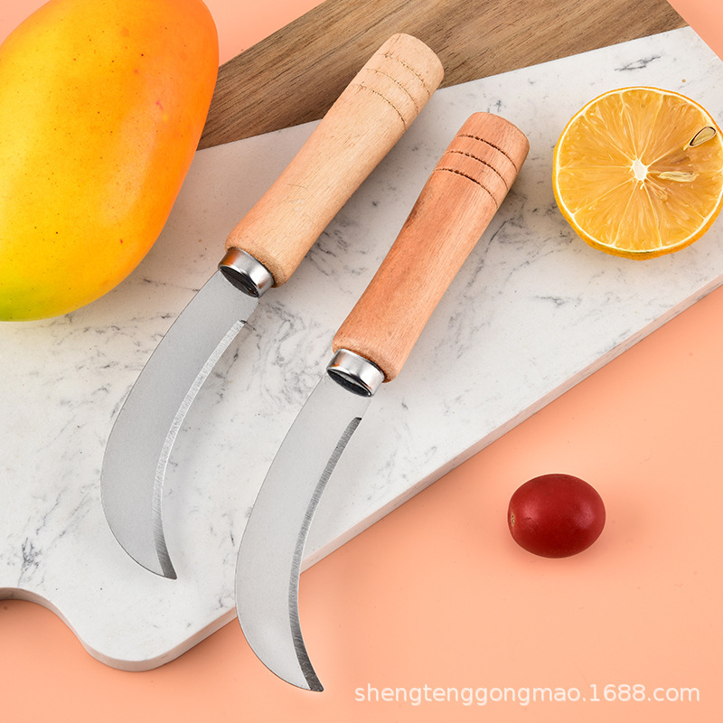 Cuchillo de frutas de acero inoxidable doméstico guisa