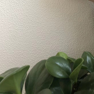 �S�����lˇ�g��ë������羳��ù������stucco paint���Q����