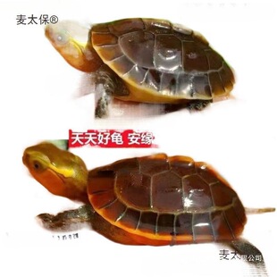 �S�������w�����]�������ϰ���̨����ꑾ��ܾ����������ͷ���̫��
