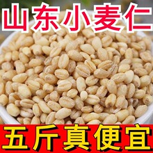 农家去皮小麦仁麦仁米 脱皮小麦粒 大麦仁杂粮农家包邮食用煮批发