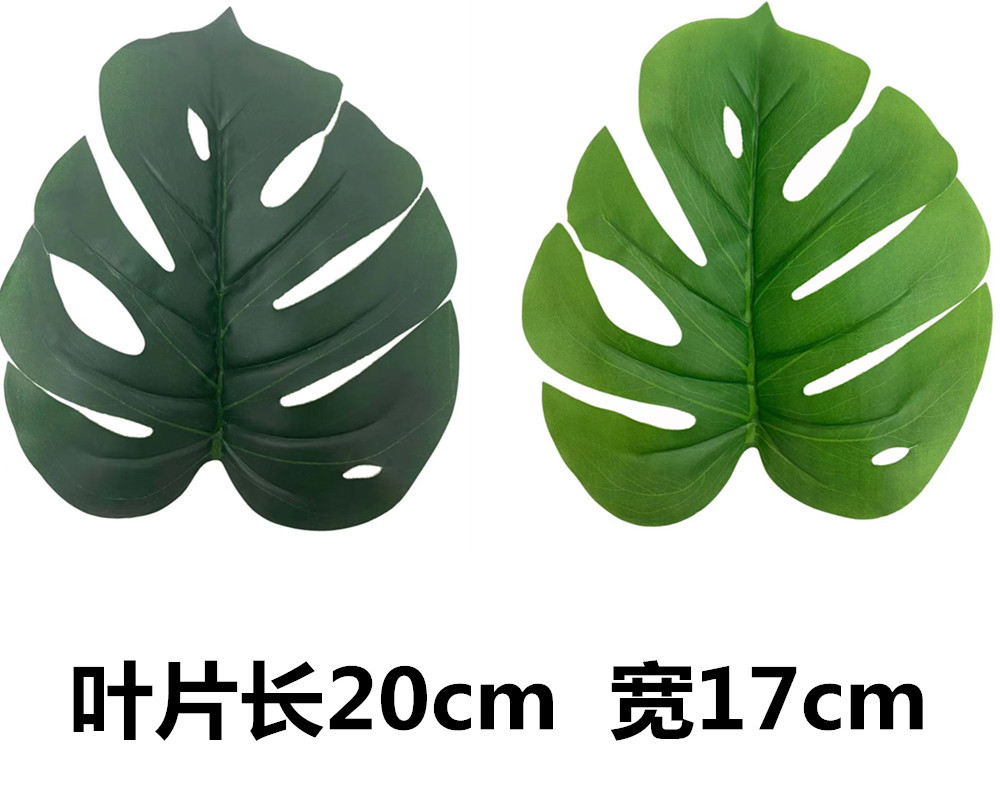 未命名_副本