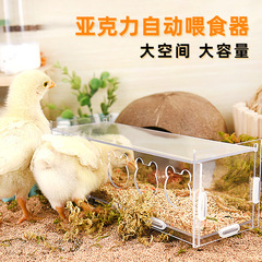 ルチン鶏給餌器ひよこ飲水器盧丁鶏うずら食箱育雛飼育飼料造景用品大全