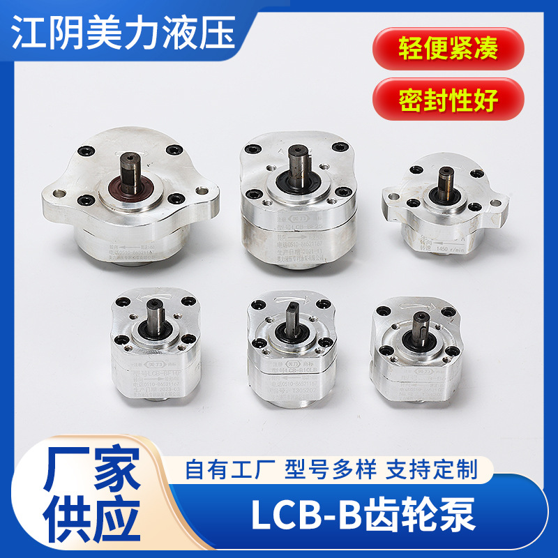 LCB-B齿轮泵  厂家供应规格多样支持非标定低噪齿轮泵