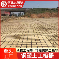 加固工程钢塑土工格栅80kn路基护坡加强双向聚丙烯复合土工格栅