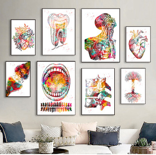 Medical Education Office Canvas Human Anatomy Muscle Canvas Painting Art Painting Watercolor Character Decorative Painting Core