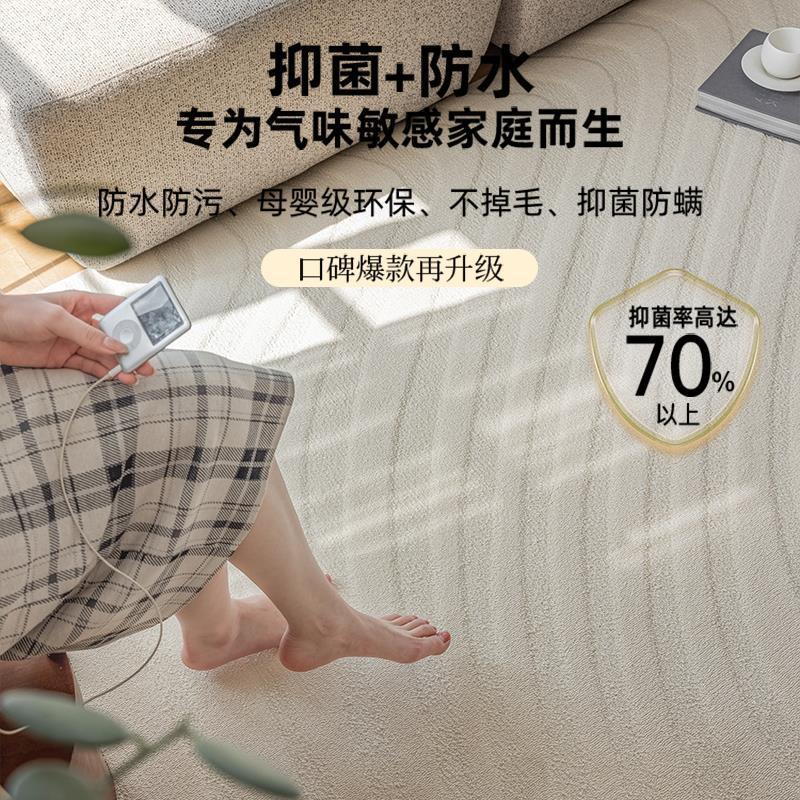 Alfombras de sala de estar 2024 nuevo sin pegamento antibacteriano filamento de diatomitas impermeable sin lavado limpiable alfombras de piso de lujo ligero de alto nivel