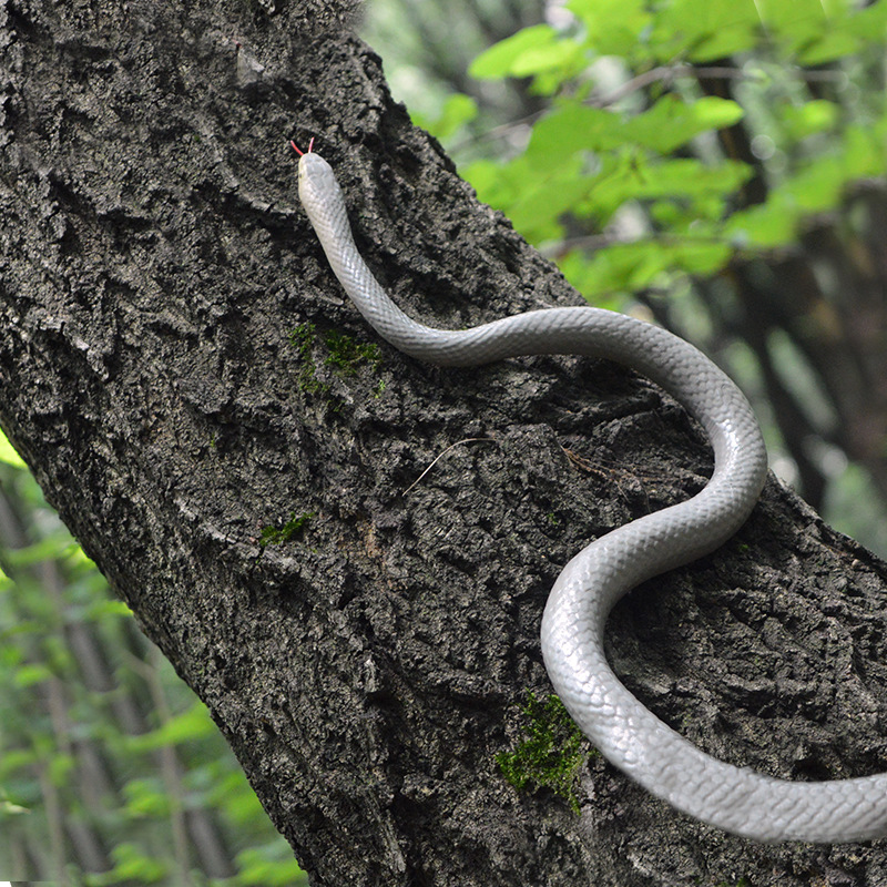 Cross-Border Realistic S-Shaped Snake Prank Scare Rubber Soft Rubber Snake Children's Toy Snake New Model S-Shaped Snake Wholesale Animal Toys Cross-Border Realistic S-Shaped Snake Prank Scare Rubber Soft Rubber Snake Children's Toy Snake New Model S-Shaped Snake Wholesale Animal Toys