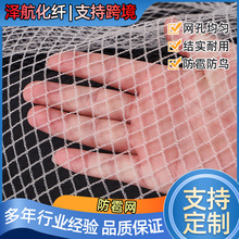防雹网定制 农业农用果园果树聚乙烯白色黑色防鸟冰雹网防鸟网