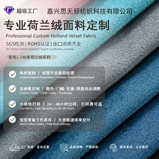 加工定制 荷兰绒沙发布批发坐垫套加厚丽丝绒面料抱枕车套装饰布