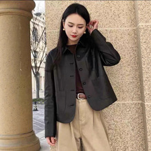 海宁秋季绵羊皮柔软细腻真皮衣女方领显瘦春秋百搭气质休闲外套