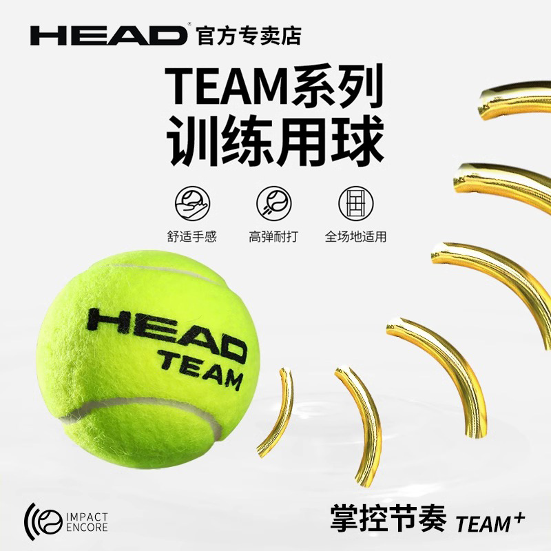 HEAD Hyde tennis ball match training ball single practice training professional TEAM no pressure pressure tennis