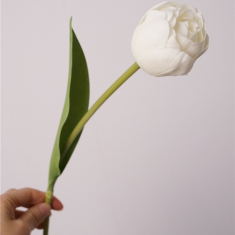 Touch Camellia Tulip - Blanco