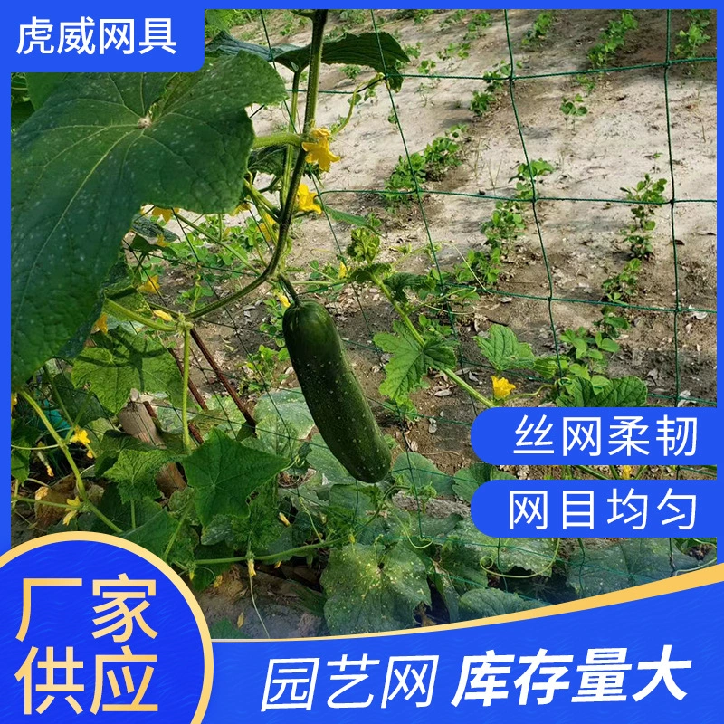Ползающая сетка для растений полиэтиленовая садоводческая альпинистская сетка из рога фасоли овощная подвесная Дыня люфа огурец нейлоновая сетка опорная сетка