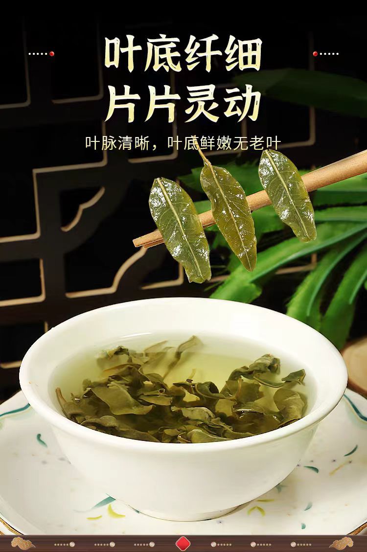 Xinjiang Wild Luobuma Tea (Apocynum venetum) — First-Flush Tender Leaves, 500g Loose Leaf Herbal Tea in use