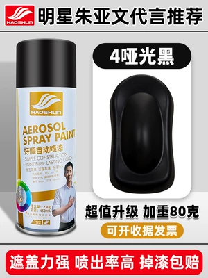 Metal Anti-rust Paint Wall — Avtomobil boya qələmləri - shushun-self-painting-450ml4matte-black
