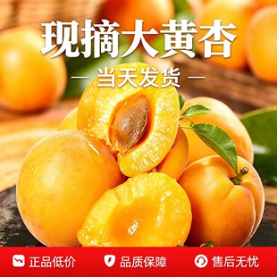 ������S�������rˮ����������ش��������֭����������@ֱ�l