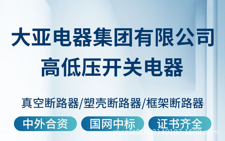 大亚电器集团有限公司断路器_01.jpg