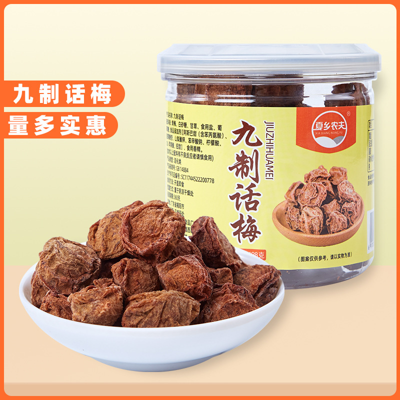 酸甜九制话梅干 潮汕话梅  广式微咸话梅果脯蜜饯孕妇休闲小零食
