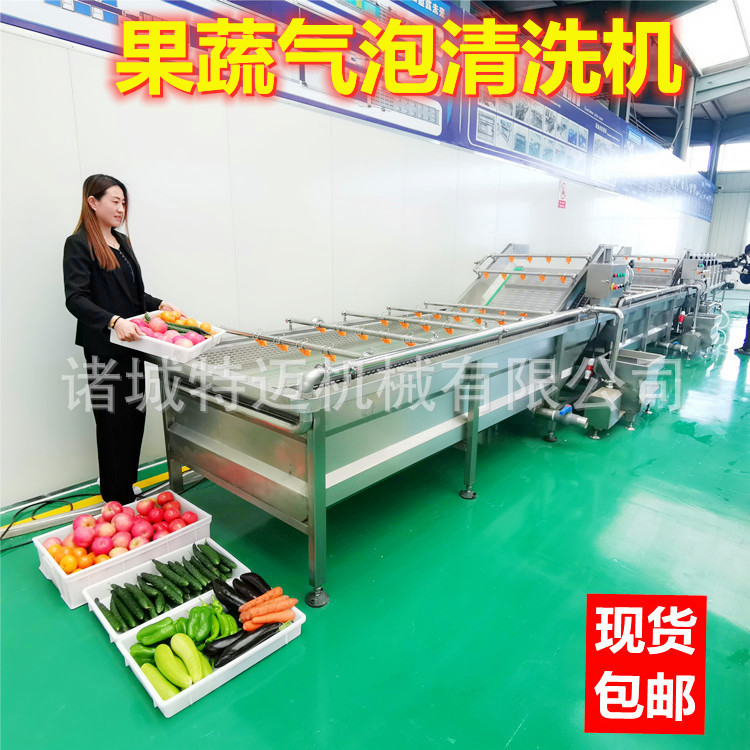 Manufacturer Wholesale Red Vinegar Chestnut Bubble Cleaning Machine Stainless Steel Commercial Cranberry Fruit Cleaning Processing Assembly Line