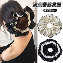 �����ٽz��߅���c���c�lȦ�nϵ�͹Ń������^�l�lȦ����߼��аl�