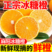 ���ں�����ꖱ��ǳȮ������rˮ��������ӬFժ�ք���Ě���������l