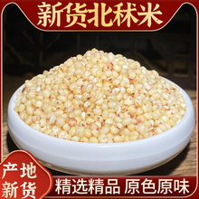 秫米中药材500g克北秫米生秫米糯秫黄糯糯粟另售粳米薏苡仁赤小豆