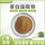 水溶大葱葱白提取物