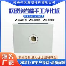 双玻镁加棉彩钢板 无尘车间用防火阻燃洁净板 玻镁岩棉夹心净化板